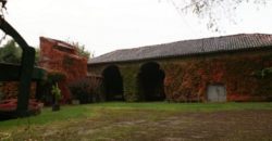 Bien de prestige – Maison de maître – Parc/ écurie/ pigeonnier – Possibilité de 2 ha en plus – 38 km Est de Toulouse – REF 1057