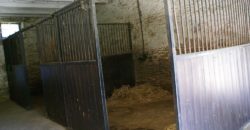 Haras élevage de chevaux-30 km Caussade-90 ha-écuries 20 boxs-ref 1519