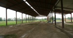 Propriété agricole Albias sur 8ha40 et hangar de 1200 m² REF 1607